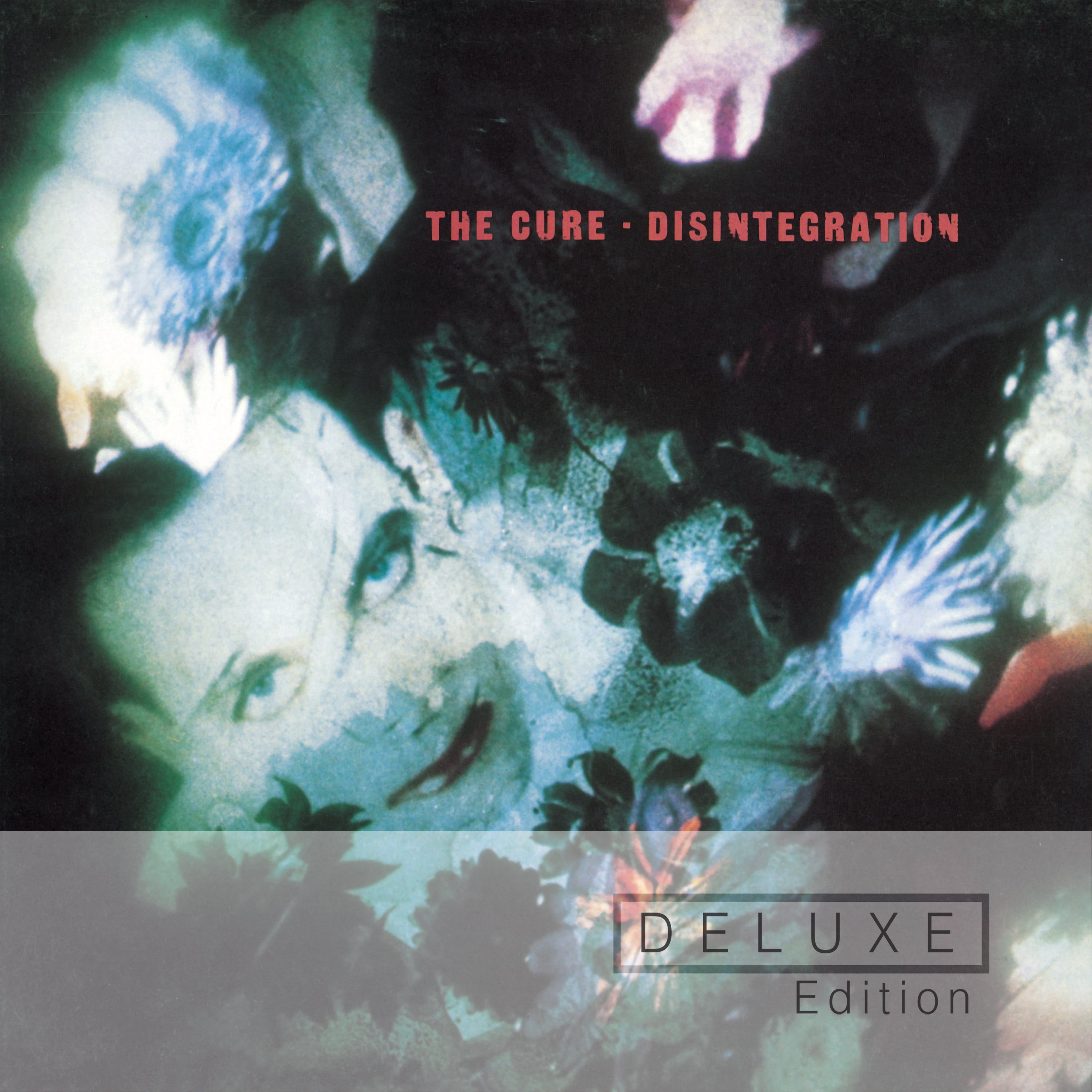 日*1様 THE CURE CD纏めて Cure - The Cure [Deluxe Edition w/ Bonus DVD] - Amazon.com Music